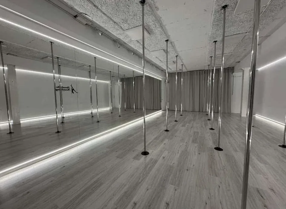 Anabelle Academy Pole Dance Studio