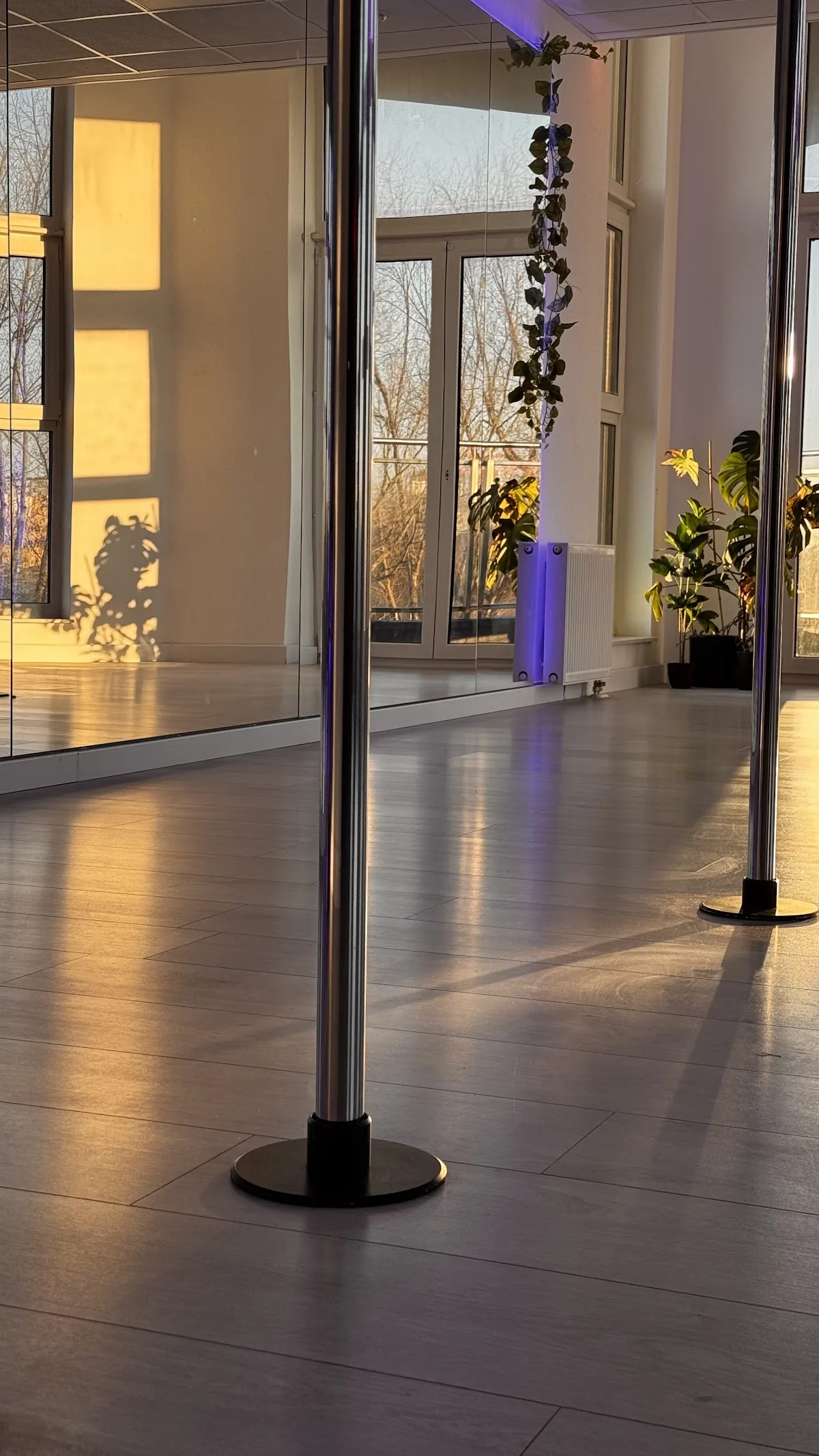 Flawless Pole&Dance Studio