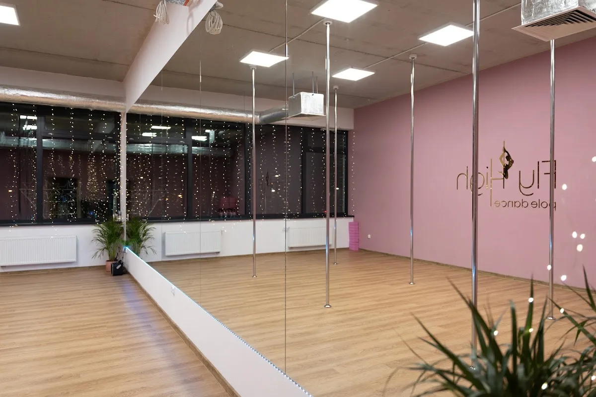Fly High Studio Pole Dance