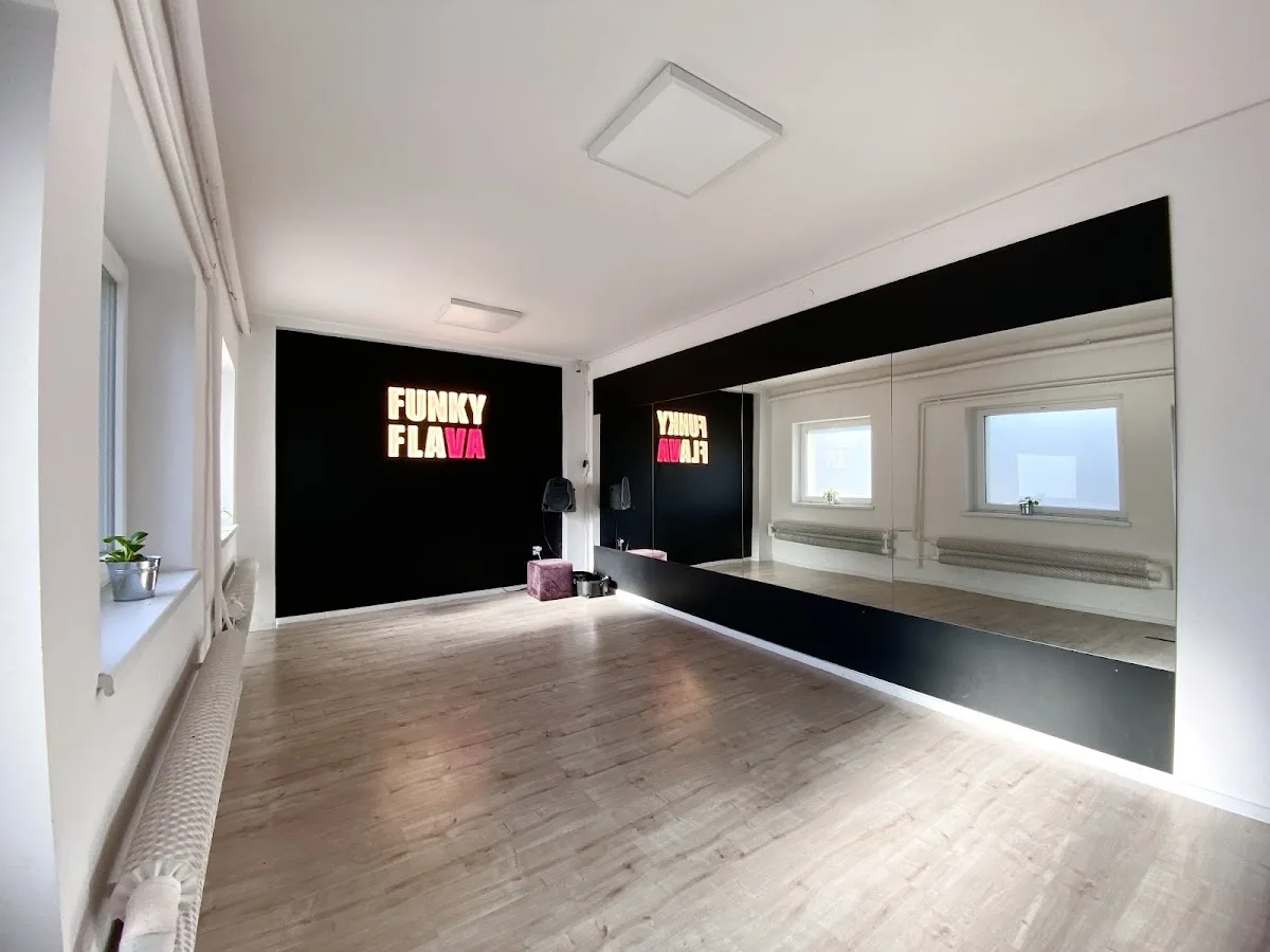 Funky Flava Dance Studio