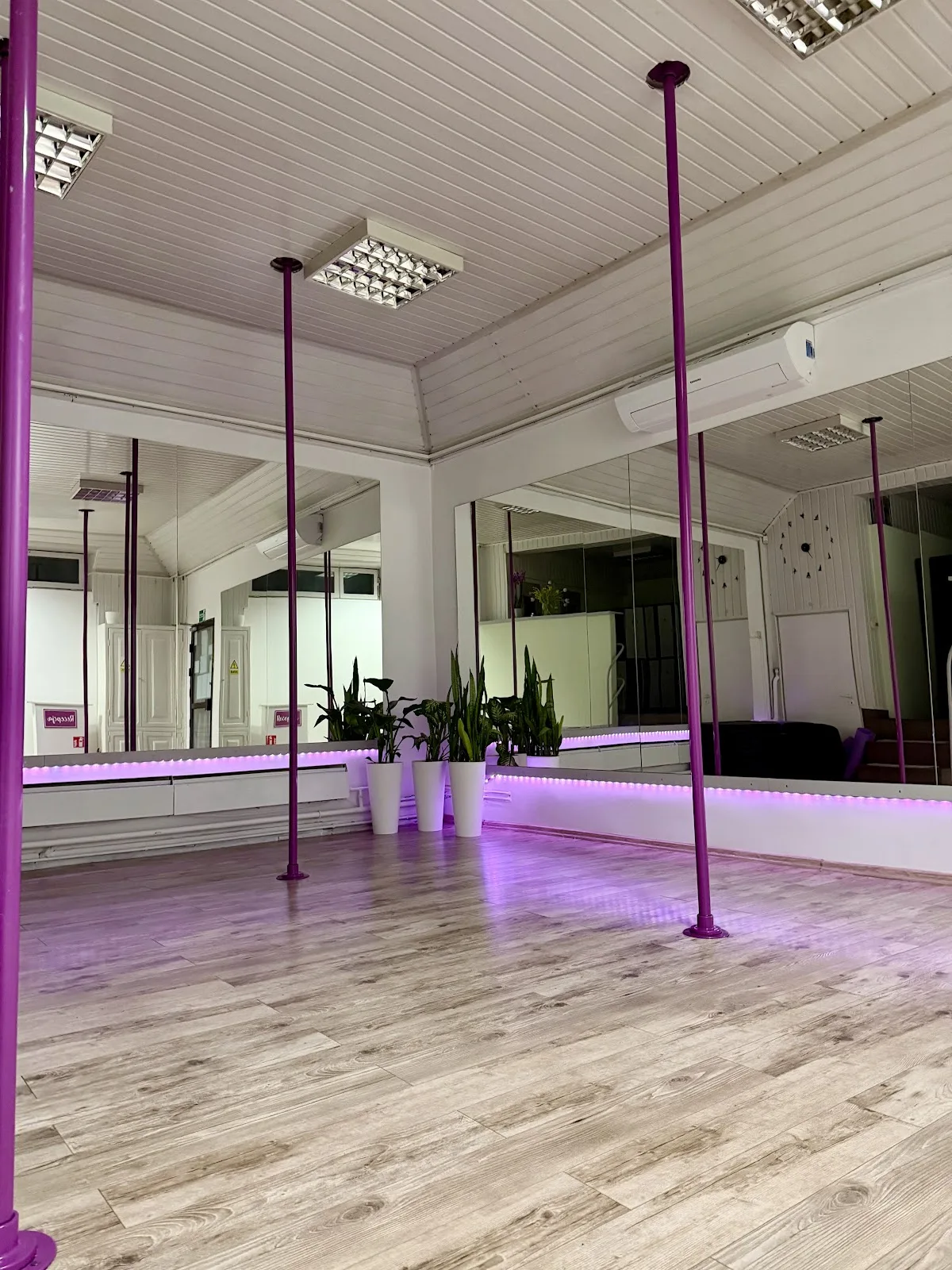 Pole Dance School - Studio Pole Dance Poznań Piątkowo