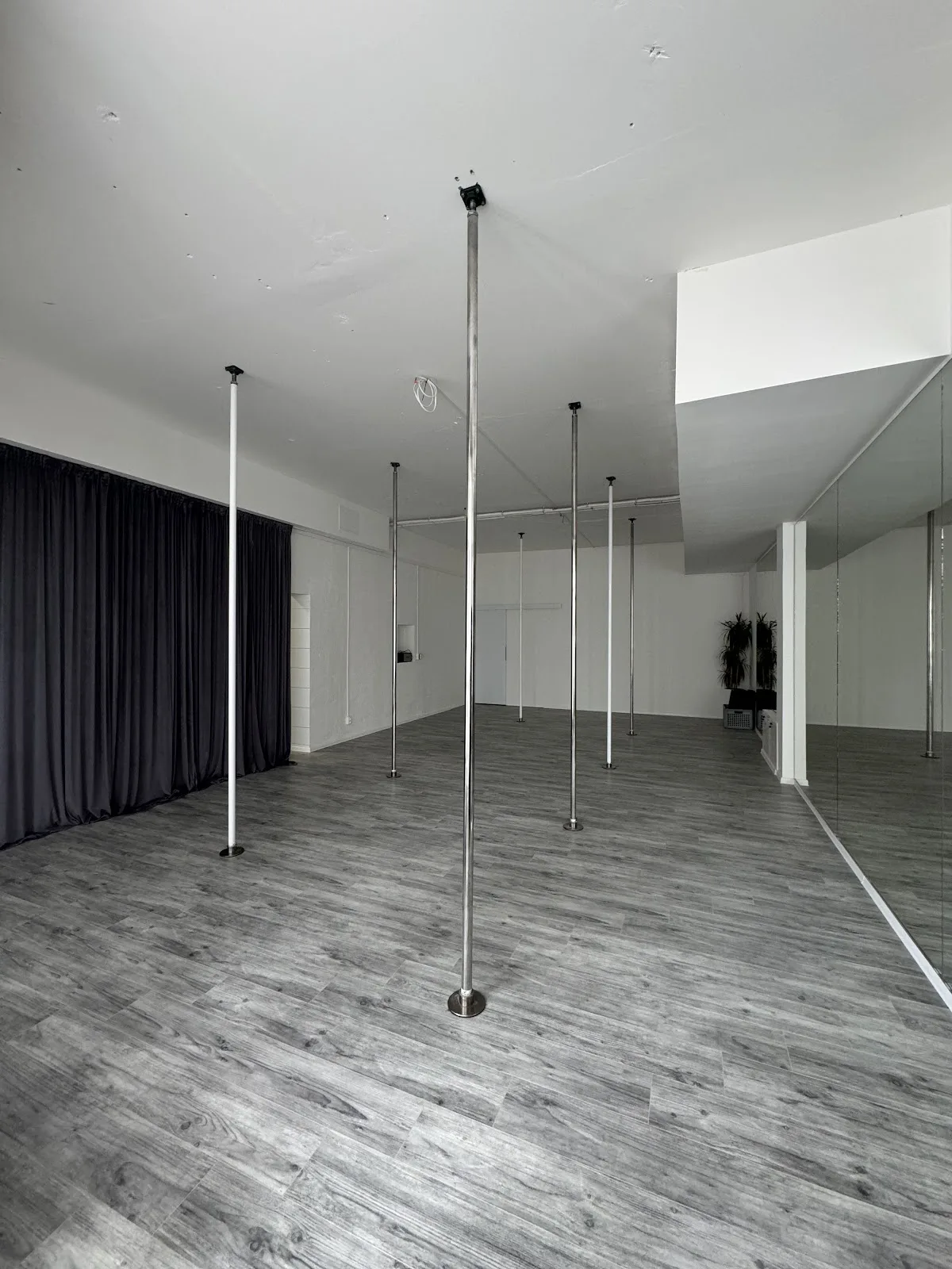 Project Pole Dance