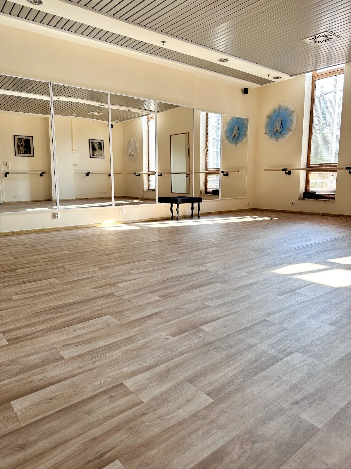 PUENTA. Studio Baletu i Tańca