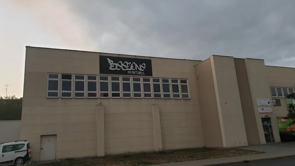 Studio Tańca Beezone