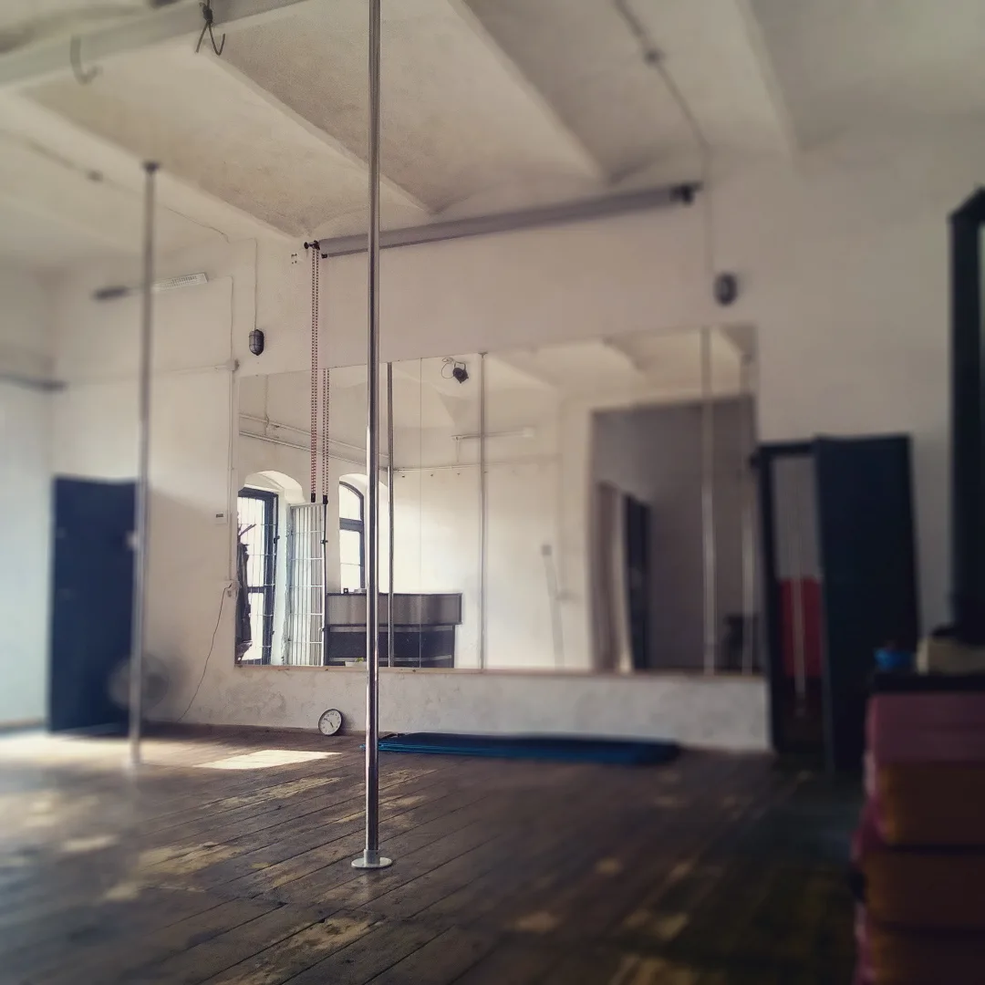 Xtreme Pole & Aerial Studio